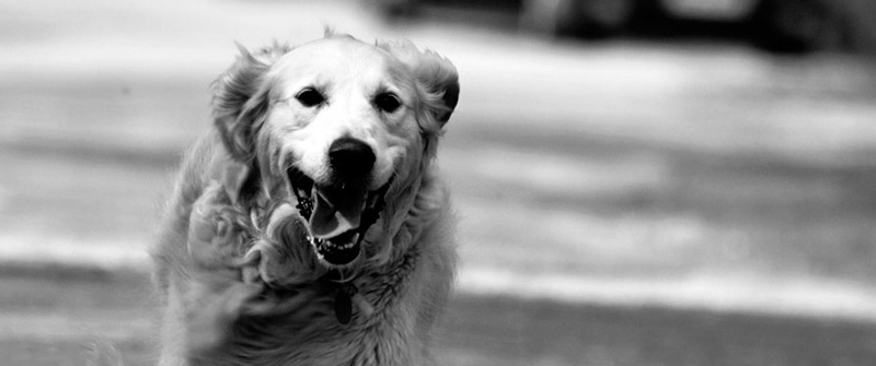 24小时呼叫轰炸神器